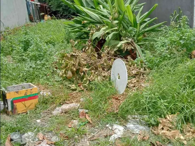 Bán đất mặt tiền rộng 5m tại xã Bà Điểm, Hóc Môn... Bán đất tại Bà Điểm, Hồ Chí Minh 01