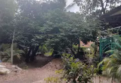 Bùng nổ cơ hội sở hữu đất vàng KDC Thăng Long, An Lạc... Bán đất tại An Lạc, Hồ Chí Minh 06