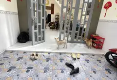 🔥 NHÀ 2 TẦNG NAM HÒA – 3PN – 64M² THỰC TẾ – GẦN METRO PHƯỚC LONG – 4.8 TỶ... Bán nhà riêng tại Phước Long, Hồ Chí Minh 03