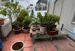 Bán nhà 4 tầng mặt phố Nguyễn Thái Học, diện tích 83.7m2, giá 13.5 tỷ... Bán nhà mặt phố tại Phú Thọ Hòa, Hồ Chí Minh 05