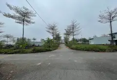 Bán 68m2 Đất Vàng Đấu Giá Khu Cây Sung - Đan Phượng, Phân lô , ô tô tránh, xây nhà ở sướng.... Bán đất tại Đan Phượng, Hà Nội 11