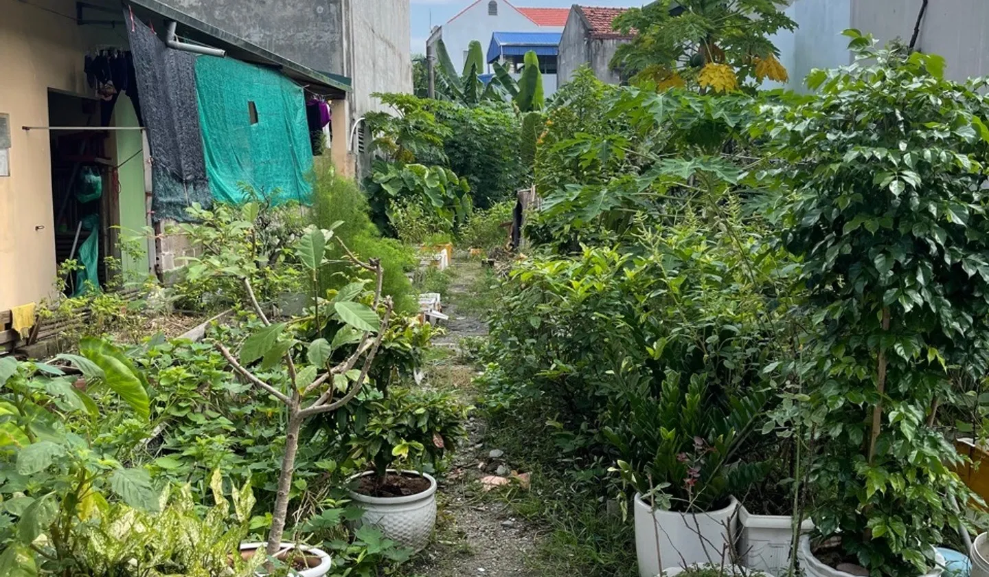 Lô đất vàng Bến Đo trung tâm Cẩm Phả, mặt tiền rộng, giá cạnh tranh... Bán đất tại Cẩm Phả, Quảng Ninh 01