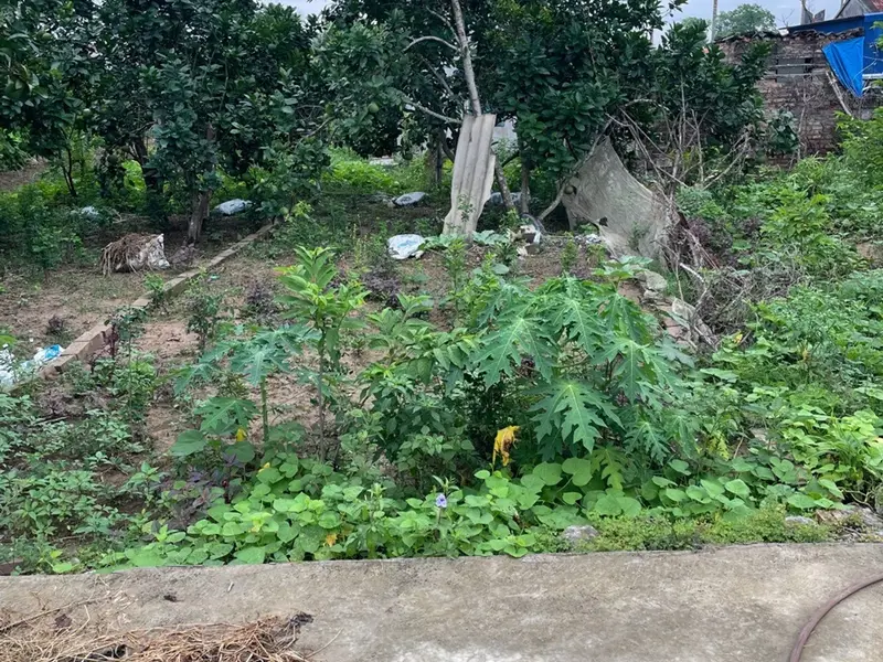 Lô Đất 58,1m2 Hướng Tây Nam Tại Thôn Hầu Lâm - Ngõ Ô Tô Tiện Lợi... Bán đất tại Thiên Hương, Hải Phòng 01