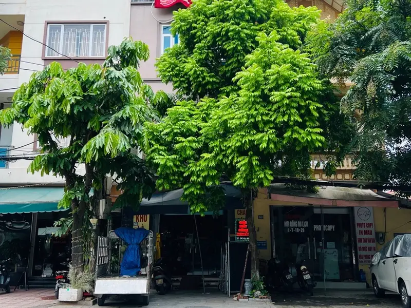 Bán nhà mặt phố đấu mã tp bắc ninh... Bán nhà mặt phố tại Vũ Ninh, Bắc Ninh 01