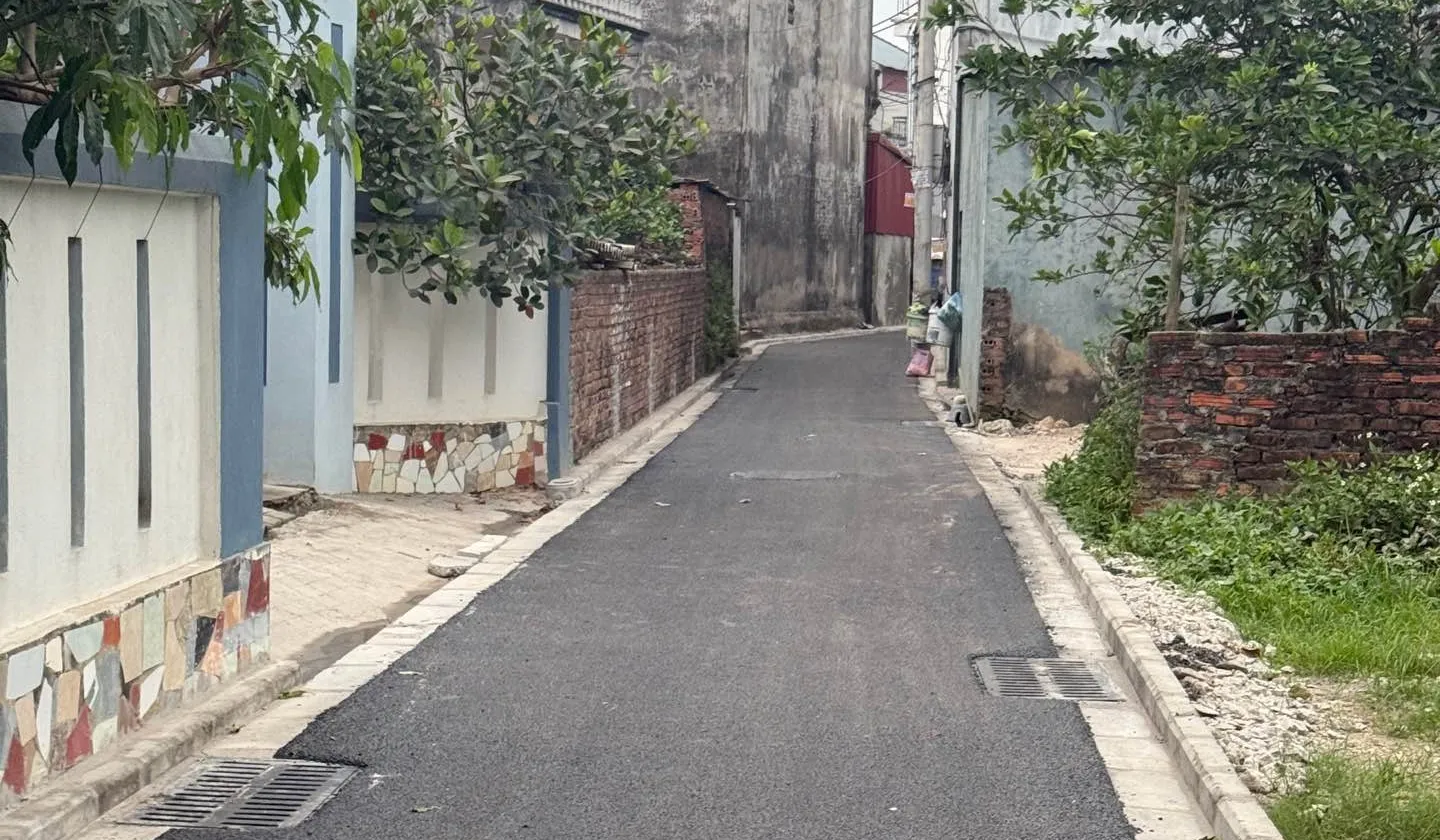Đất Vàng Ấp Tre - Cơ Hội Vàng Đầu Tư Sinh Lời... Bán đất tại Quang Minh, Hà Nội 01