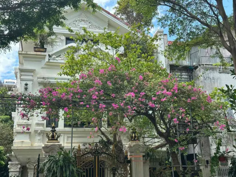 Biệt Thự Đơn Lập Hiếm Có Tại Khu Đô Thị Văn Phú – Đỉnh Cao Giá Trị Sống 201/203m2... Bán biệt thự, liền kề tại Hà Đông, Hà Nội 01