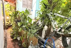 Cơ hội sở hữu nhà 2 tầng ngay ngã tư Hàng Xanh – ô tô đỗ cửa hiếm có... Bán nhà riêng tại Thạnh Mỹ Tây, Hồ Chí Minh 10