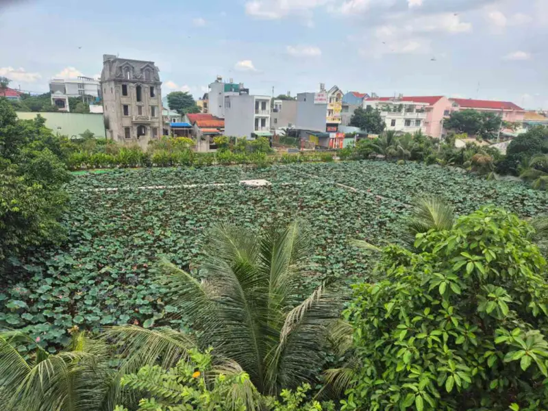 Nhà Phân Lô Đẹp 3 Tầng tại Phường Thới An - Cơ Hội Vàng Sở Hữu Ngay!... Bán nhà riêng tại Thới An, Hồ Chí Minh 01