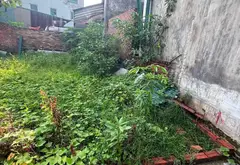 Đất đẹp Tam Sơn Từ Sơn - Vị trí vàng cho tổ ấm tương lai... Bán đất tại Tam Sơn, Bắc Ninh 03