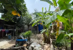 Bán nhà riêng 1 tầng rộng 181m2 tại xã Lê Minh Xuân Bình Chánh... Bán nhà riêng tại Bình Lợi, Hồ Chí Minh 04