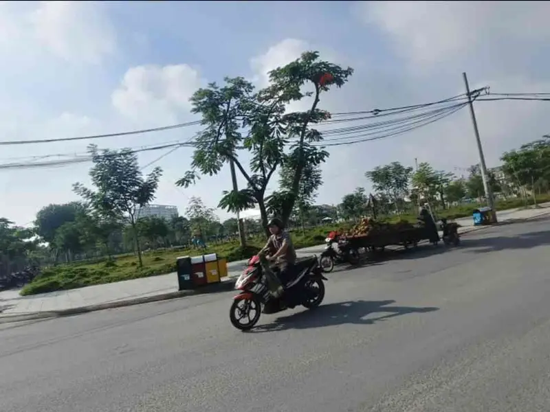 Bán đất phân lô vuông vức tại Bình Tân, diện tích 53 m², pháp lý rõ ràng... Bán đất tại Bình Tân, Hồ Chí Minh 01