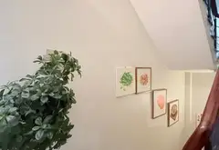 Nhà mặt phố Hoa Cúc, kinh doanh sầm uất, giá tốt... Bán nhà mặt phố tại Cầu Kiệu, Hồ Chí Minh 12