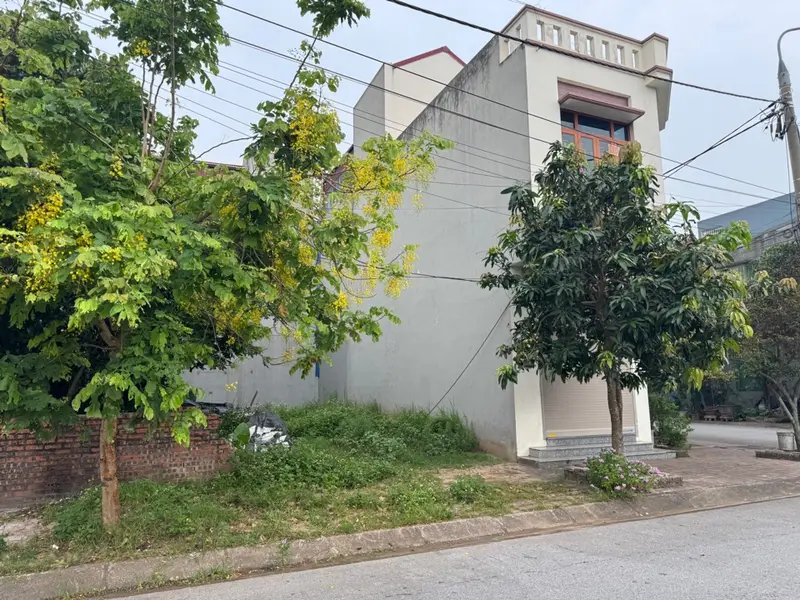 Đất Tái Định cư Trung Nghĩa Tính Linh, khu dân cư hiện hữu... Bán đất tại Phố Hiến, Hưng Yên 01