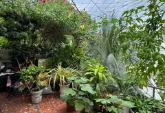 Nhà 3 tầng full nội thất siêu đỉnh tại Hòa Bình, Tân Phú... Bán nhà riêng tại Tân Phú, Hồ Chí Minh 16