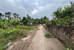 Đất nền vàng tại Đan Kim xã văn Giang - tiềm năng sinh lời cao... Bán đất tại Văn Giang, Hưng Yên 01