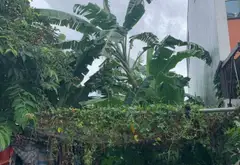 Đất đẹp khu E Phương Trang - Giá sốc giảm ngay hôm nay... Bán đất tại Hòa Khánh, Đà Nẵng 02
