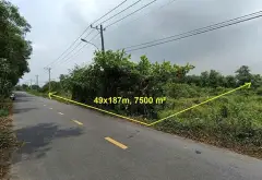 70 LÔ ĐẤT MẶT TIỀN ĐƯỜNG CÁ LĂNG, XÃ PHÚ HÒA ĐÔNG, MÀ CHỈ CÓ 17,4 TỶ... Bán nhà mặt phố tại Phú Hòa Đông, Hồ Chí Minh 04