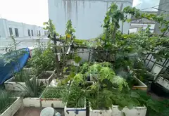Biệt thự liền kề đỉnh tại Phố Nối, đầu tư sinh lời ngay... Bán biệt thự, liền kề tại Nguyễn Văn Linh, Hưng Yên 18