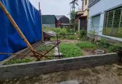 Cơ hội hiếm có sở hữu đất nền rộng tại Thượng Phúc, Hà Nội... Bán đất tại Thượng Phúc, Hà Nội 02