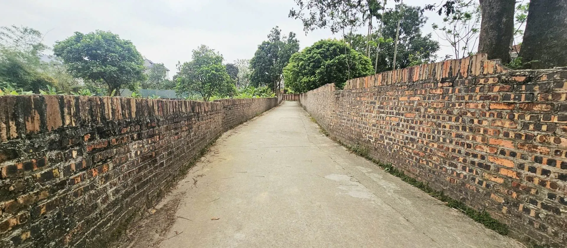 Đất đẹp Sóc Sơn, gần Trường Đua Ngựa - Đầu tư sinh lời ngay... Bán đất tại Sóc Sơn, Hà Nội 01
