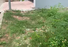 Đất nền hướng Nam diện tích hơn 60m² tại trung tâm Thôn 5 Thủy Sơn... Bán đất tại Thủy Nguyên, Hải Phòng 03