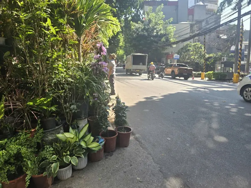 Bán đất mặt đường Hoàng Hoa Thám - DT 112.6m2 , 7.8m mặt tiền, lô góc - Vị trí đẹp để xây tòa nhà... Bán nhà mặt phố tại Tây Hồ, Hà Nội 01