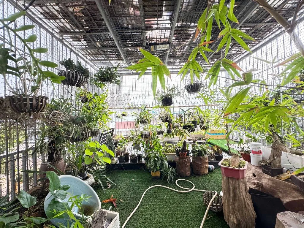 Siêu phẩm nhà mặt phố 2 mặt tiền Quang Trung Hà Đông Vỉa Hè Dá Bóng Kinh Doanh Đỉnh 172/185m2... Bán nhà mặt phố tại Hà Đông, Hà Nội 01