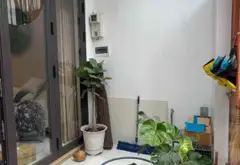 Nhà đẹp 4 tầng ở Đức Nhuận, Hồ Chí Minh giá tốt... Bán nhà riêng tại Đức Nhuận, Hồ Chí Minh 02