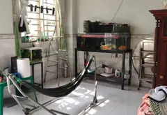TRỆT MỘT LẦU, VÀI BƯỚC CHÂN ĐẾN CHỢ VÀ UB XÃ XUÂN THỚI THƯỢNG... Bán nhà riêng tại Bà Điểm, Hồ Chí Minh 15