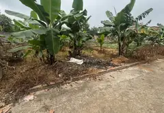 Cơ Hội Sở Hữu Lô Đất Vuông Vức Giá Tốt Tại Sóc Sơn Hà Nội... Bán đất tại Sóc Sơn, Hà Nội 03
