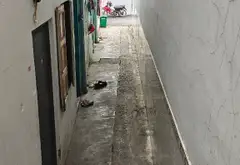 Bán nhà riêng 82.9m² tại phường An Lạc, Hồ Chí Minh, 5 phòng ngủ, giá 7.7 tỷ... Bán nhà riêng tại An Lạc, Hồ Chí Minh 02