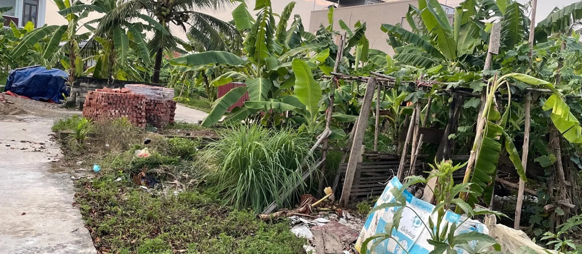 Cơ hội vàng sở hữu lô đất 60m2 tại xã Hoàng Động với giá tốt... Bán đất tại Thiên Hương, Hải Phòng 01