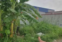 Đất Mặt Tiền Rộng 7m Tại Lâm Động - Vị Trí Vàng Gần Trục Đường 203... Bán đất tại Thủy Nguyên, Hải Phòng 13
