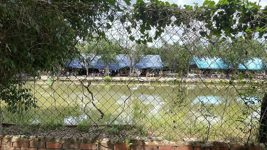 Đất mặt tiền rộng giá sốc tại Bình Chánh... Bán đất tại Tân Vĩnh Lộc, Hồ Chí Minh 01