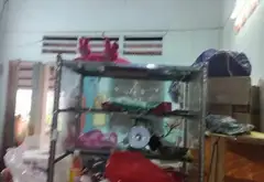 Bán nhà cấp bốn 282m² tại Phú Thuận, phù hợp xây CHDV... Bán nhà riêng tại Phú Thuận, Hồ Chí Minh 08