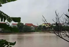 Đất Lô Góc View Hồ Văn Giang - Cơ Hội Vàng Cho Gia Đình & Đầu Tư... Bán đất tại Văn Giang, Hưng Yên 03