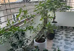 Nhà 4 tầng thiết kế hiện đại tại khu dân cư Kiều Sơn với tiện nghi đầy đủ... Bán nhà riêng tại Hải An, Hải Phòng 11