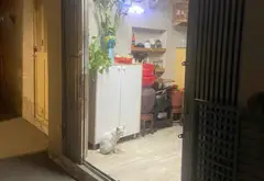 Bán nhà 4 tầng diện tích 14m² tại Phường Văn Miếu, quận Đống Đa, Hà Nội... Bán nhà riêng tại Văn Miếu - Quốc Tử Giám, Hà Nội 02