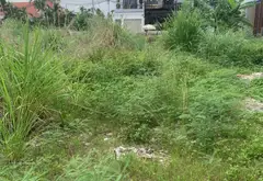 Bán đất tái định cư Thủy Triều, Thủy Nguyên – diện tích 100m2, vị trí đắc địa... Bán đất tại Thủy Nguyên, Hải Phòng 04