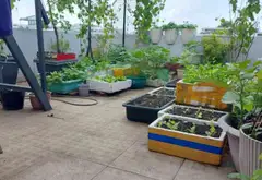 NHÀ 4 TẦNG 82M2 - TRỤC HUỲNH VĂN NGHỆ - AN HỘI TÂY GÒ VẤP - 7TY8 TL... Bán nhà riêng tại An Hội Tây, Hồ Chí Minh 14