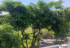 Bán nhà 3 tầng 4PN 87m2 mặt tiền Mỹ An 6 gần cầu Trần Thị Lý... Bán nhà mặt phố tại Ngũ Hành Sơn, Đà Nẵng 05