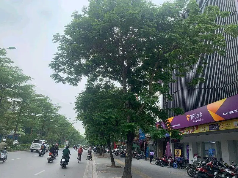 BÁN MẶT PHỐ NGUYỄN KHÁNH TOÀN - TRUNG TÂM CẦU GIẤY- VỈA HÈ SIÊU RỘNG - MẶT TIỀN LỚN - 275M - 300 TỶ... Bán nhà mặt phố tại Cầu Giấy, Hà Nội 01