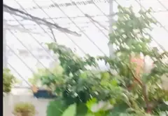 Nhà trung tâm Bình Tân, Bình Trị Đông
 4 tầng. , 6ty950. Đường xe tải tránh... Bán nhà mặt phố tại Bình Tân, Hồ Chí Minh 04