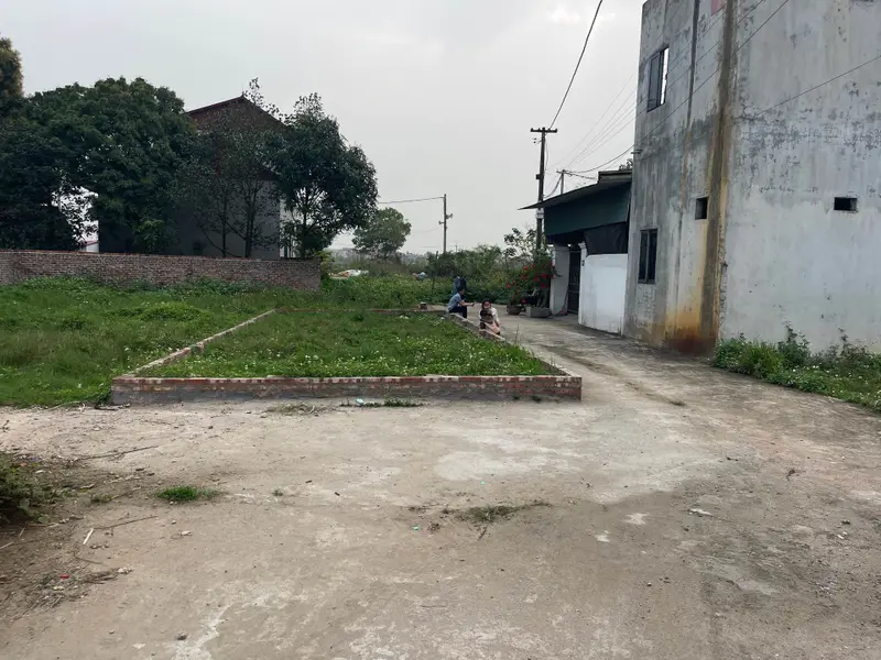 Bán đất lô góc tại Quang Tiến, mặt tiền 5m, ô tô 7 chỗ vào tận nơi... Bán đất tại Nội Bài, Hà Nội 01