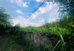 Đất view sông siêu mát - không gian nghỉ dưỡng lý tưởng... Bán đất tại Hiệp Phước, Hồ Chí Minh 04