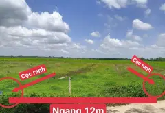 Bán đất 533m² xã Trung Lập, Củ Chi, mặt tiền 12m, pháp lý cơ sở... Bán đất tại Thái Mỹ, Hồ Chí Minh 09