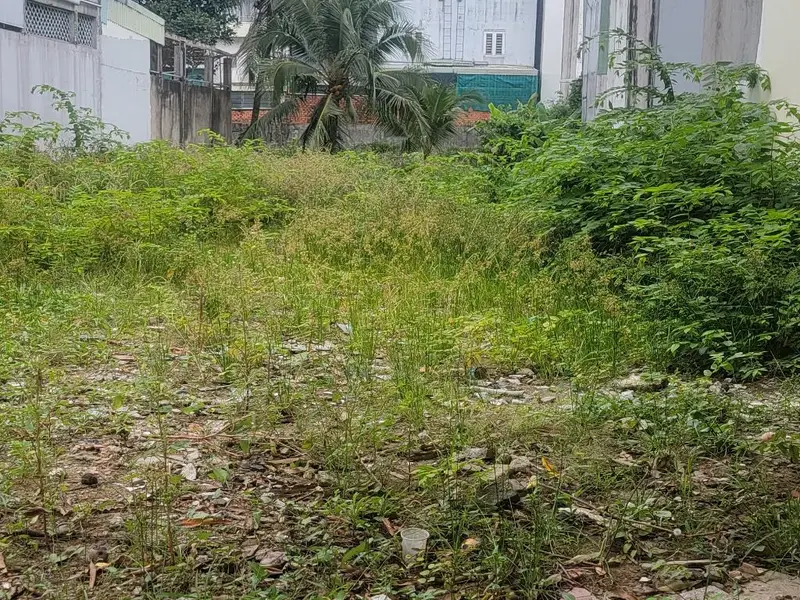 Bán nhà mặt phố diện tích 408.5m² ở xã kế bên 8, mặt tiền 6.3m... Bán nhà mặt phố tại An Phú Đông, Hồ Chí Minh 01