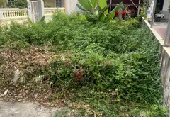Lô đất hai mặt tiền tại khu vực phát triển tiềm năng... Bán đất tại Hưng Đạo, Hải Phòng 01