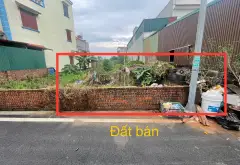 Bán đất thôn Công Luận 2, xã Văn Giang, Hưng Yên - diện tích 126,1 m2, ô tô vào đất... Bán đất tại Văn Giang, Hưng Yên 05
