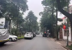 Cặp biệt thự đôi hiếm có giữa lòng Bán đảo Linh Đàm... Bán biệt thự, liền kề tại Hoàng Liệt, Hà Nội 03